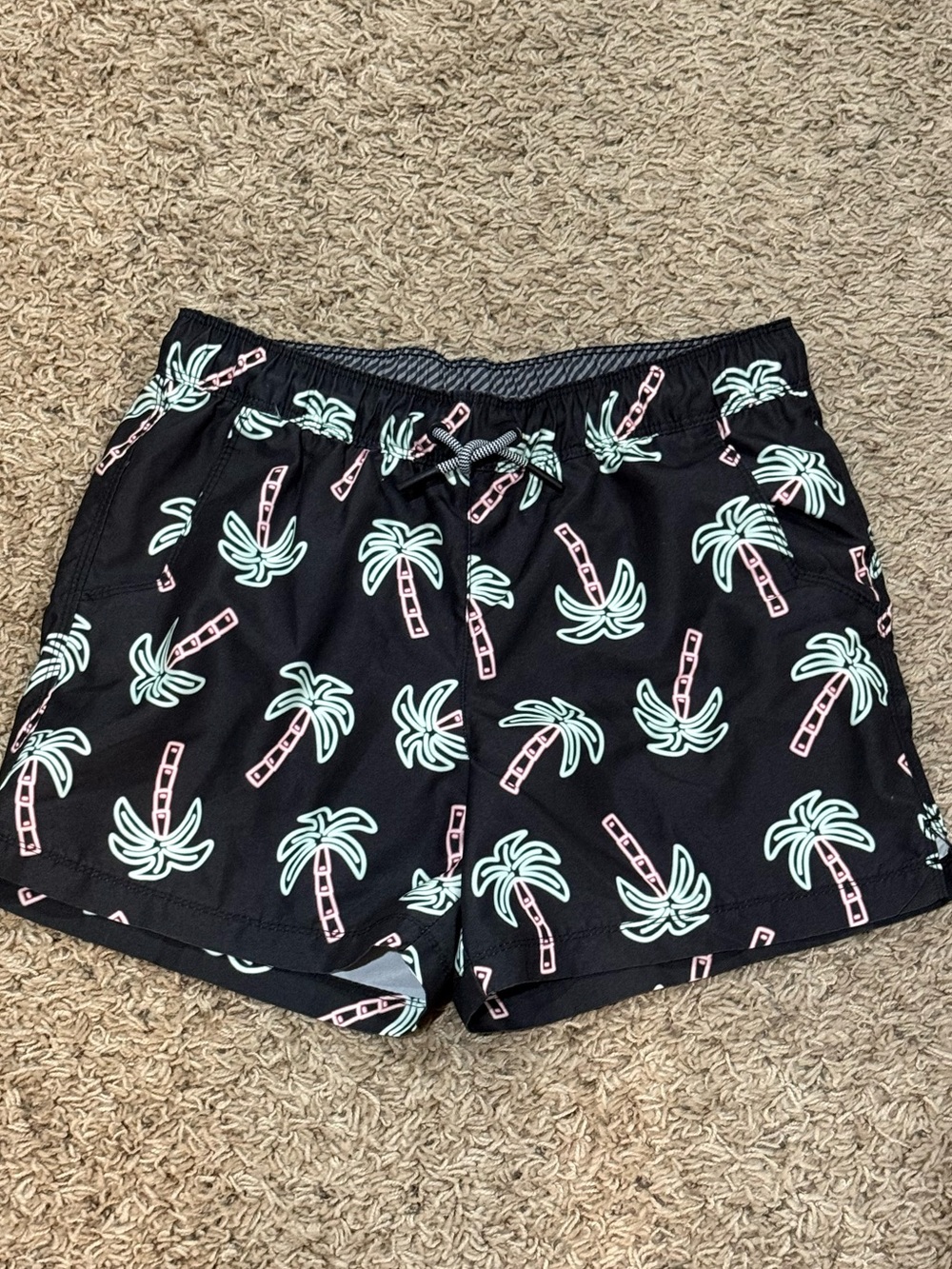 Boys art class neon palm tree swim trunks